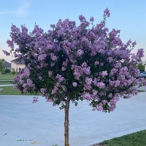 Meet your Posher, Terri